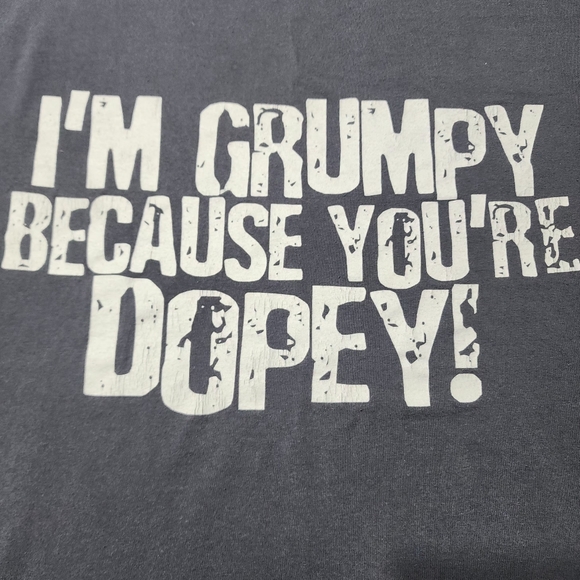 Walt Disney World Vintage Gray Grumpy and Dopey T-shirt Size XL - Picture 3 of 11